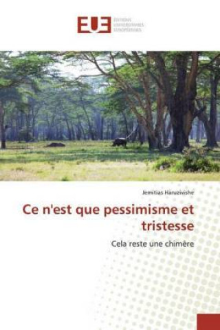 Boek Ce n'est que pessimisme et tristesse Jemitias Haruzivishe