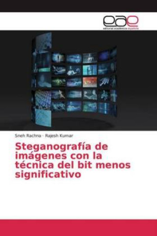 Kniha Steganografía de imágenes con la técnica del bit menos significativo Sneh Rachna