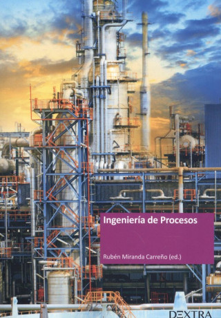 Kniha Ingeniería de procesos RUBEN MIRANDA CARREÑO