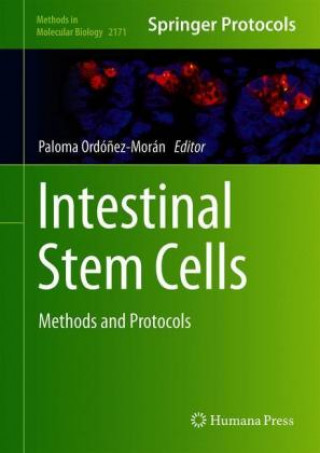 Knjiga Intestinal Stem Cells Paloma Ordóñez-Morán