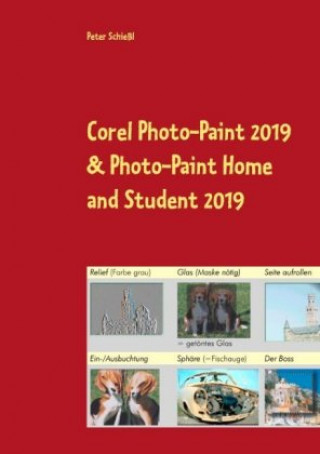 Kniha Corel Photo-Paint 2019 & Photo-Paint Home and Student 2019 