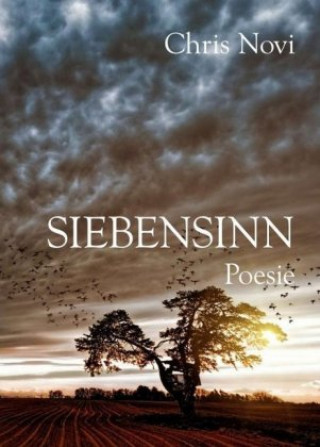 Knjiga Siebensinn Chris Novi