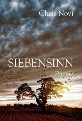 Книга Siebensinn Chris Novi