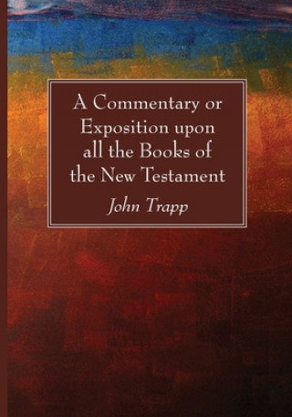 Kniha Commentary or Exposition upon all the Books of the New Testament 