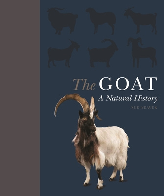 Knjiga Goat Debbie Cherney