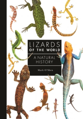 Kniha Lizards of the World: A Guide to Every Family 