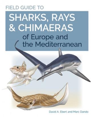 Kniha Field Guide to Sharks, Rays & Chimaeras of Europe and the Mediterranean Marc Dando