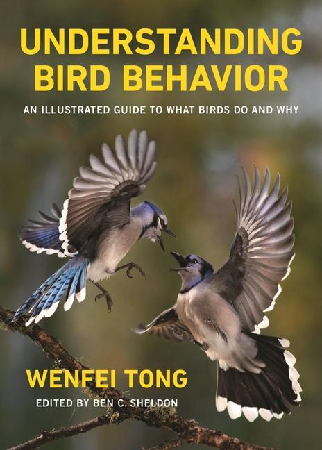 Carte Understanding Bird Behavior Wenfei Tong
