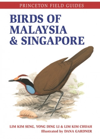 Kniha Birds of Malaysia and Singapore Ding Li Yong