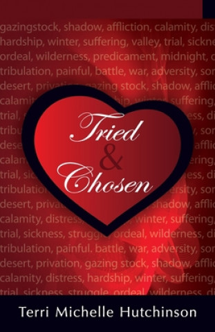 Boek Tried and Chosen Terri Michelle Hutchinson