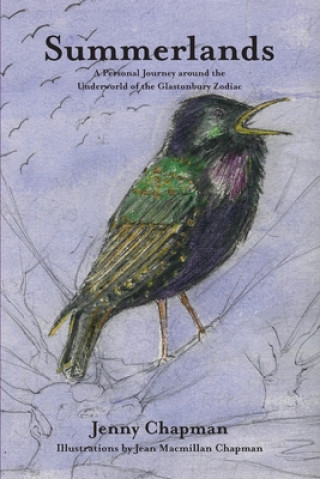 Book Summerlands Jenny Chapman
