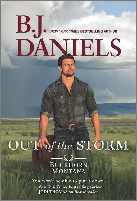 Knjiga Out of the Storm B. J. Daniels