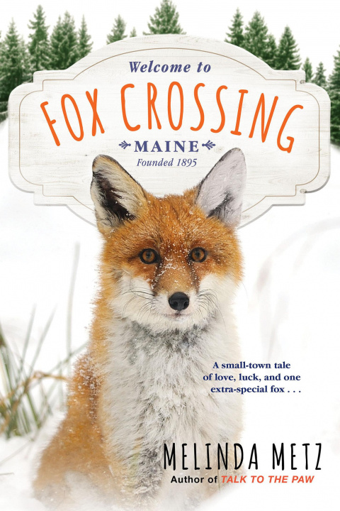 Buch Fox Crossing Metz