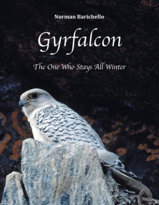 Βιβλίο Gyrfalcon 