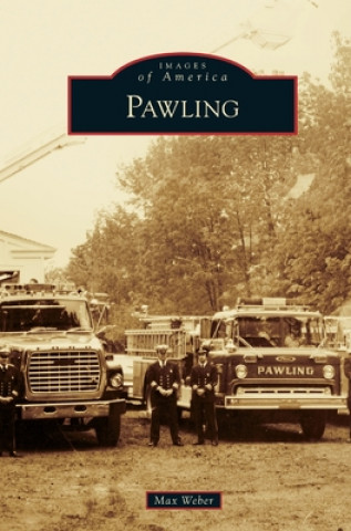 Buch Pawling Max Weber