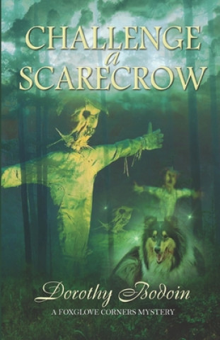 Livro Challenge a Scarecrow Dorothy Bodoin