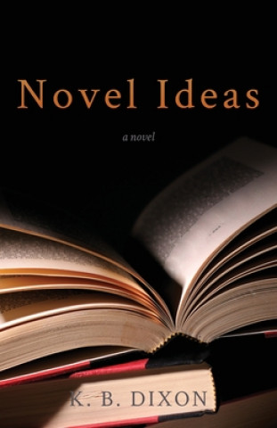 Boek Novel Ideas K. B. Dixon