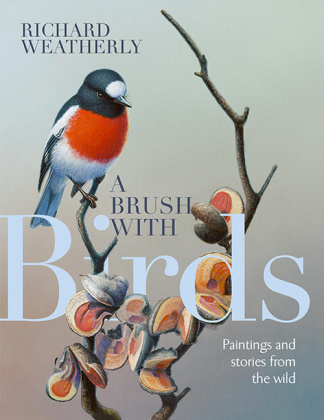Boek Brush with Birds Richard Weatherly