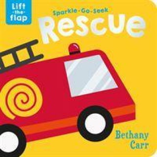 Boek Sparkle-Go-Seek Rescue Katie Button