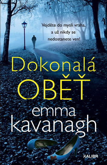 Kniha Dokonalá oběť Emma Kavanagh