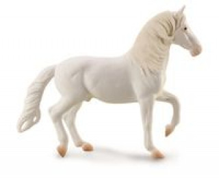 Książka Koń Camarillo Biały 