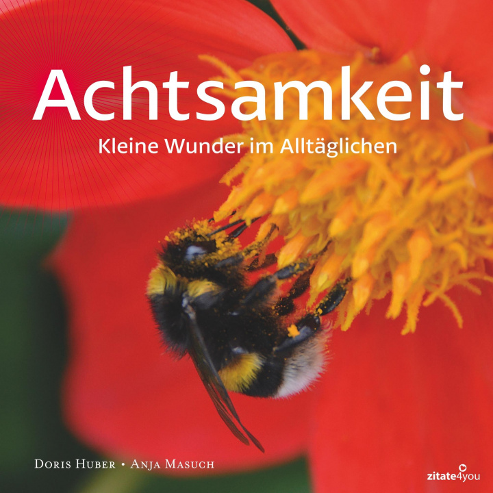 Knjiga Achtsamkeit Anja Masuch