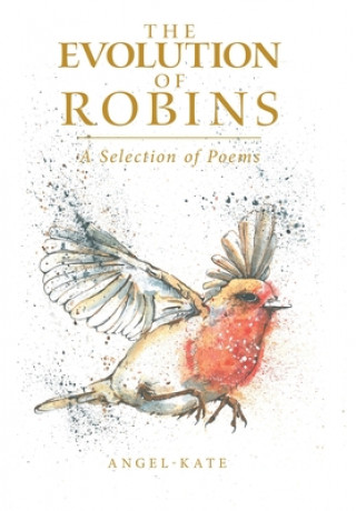 Carte Evolution of Robins Angel-Kate