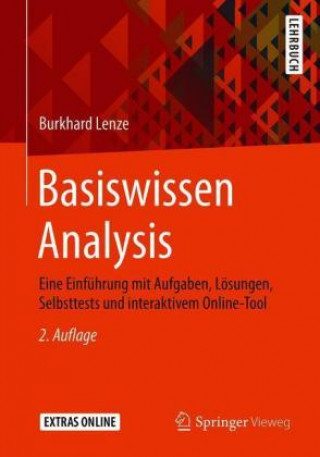 Knjiga Basiswissen Analysis Burkhard Lenze
