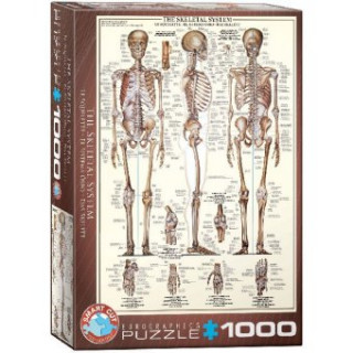 Játék Puzzle 1000 The Skeletal System 6000-3970 