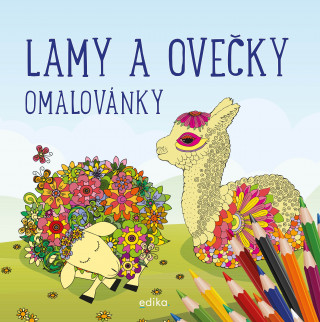 Kniha Lamy a ovečky Omalovánky collegium