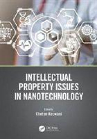 Knjiga Intellectual Property Issues in Nanotechnology Chetan Keswani