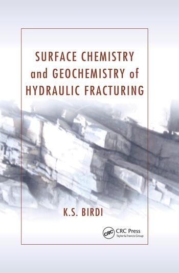 Kniha Surface Chemistry and Geochemistry of Hydraulic Fracturing Birdi