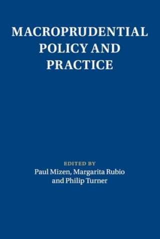 Kniha Macroprudential Policy and Practice EDITED BY PAUL MIZEN