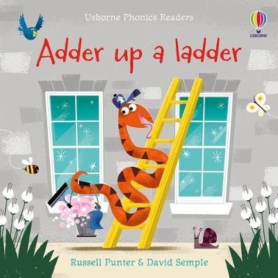 Książka Adder up a ladder RUSSELL PUNTER