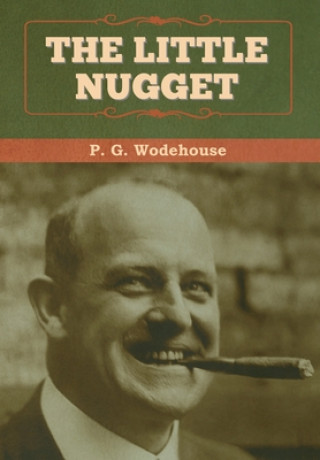 Kniha Little Nugget P Wodehouse