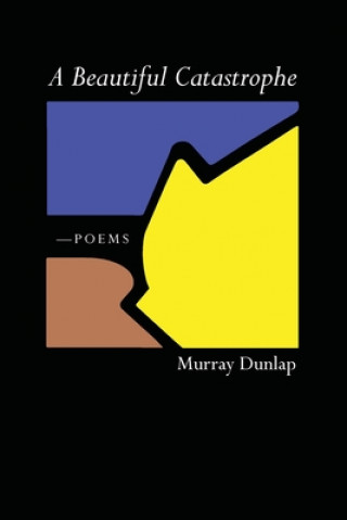 Book Beautiful Catastrophe Murray Dunlap