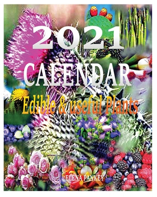 Kniha Calendar 2021 Elena Bulat