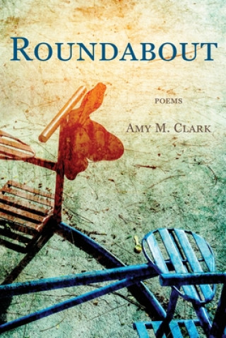 Kniha Roundabout AMY M CLARK