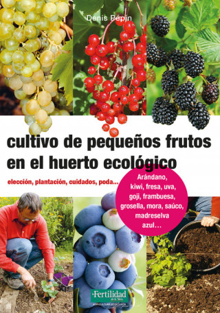 Kniha Cultivo de pequeños frutos en el huerto ecológico DENIS PEPIN