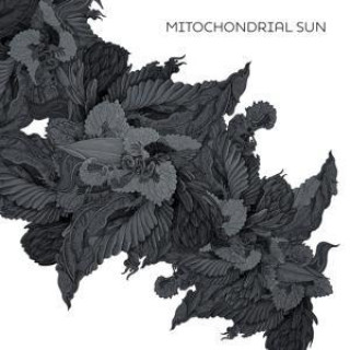 Zvok Mitochondrial Sun Mitochondrial Sun