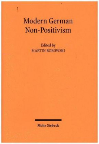 Libro Modern German Non-Positivism 