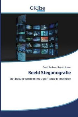 Knjiga Beeld Steganografie Rajesh Kumar