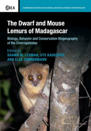Carte Dwarf and Mouse Lemurs of Madagascar 