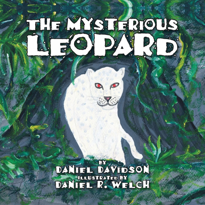 Buch Mysterious Leopard Daniel Davidson