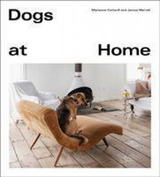 Книга Dogs at Home Marianne Cotterill