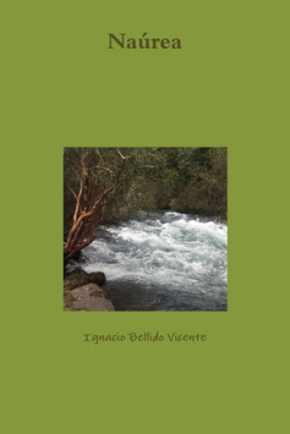 Buch Naurea IGN BELLIDO VICENTE