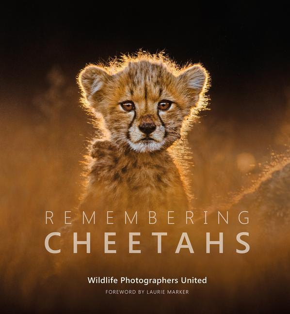 Книга Remembering Cheetahs 