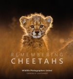 Könyv Remembering Cheetahs 
