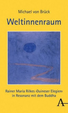 Boek Weltinnenraum Michael von Brück