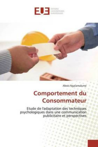 Kniha Comportement du Consommateur Alexis Ngalamulume